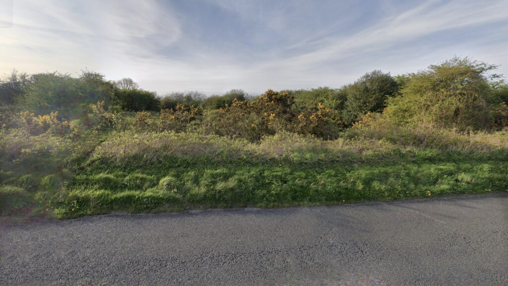 35 Years Later: Reflecting on a Pivotal Case in My Career 1 View of gorse and undergrowth on the South Downs National Park, adjacent to Davil's Dyke Rad, Hove.