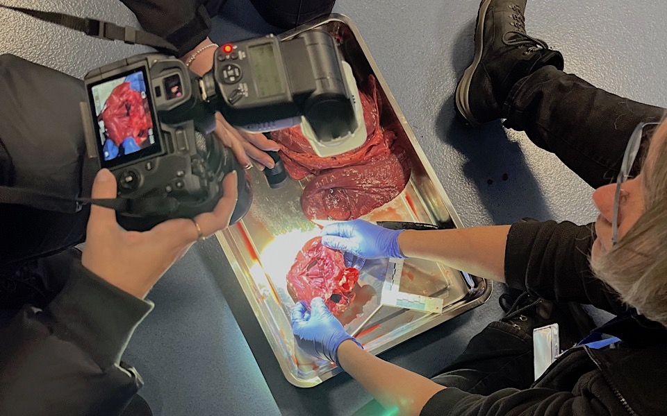 FTP-CSI-Course-post-mortem-photography FTP CSI Course Post Mortem Photography Training