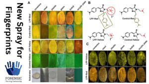 New Spray can Detect Fingerprints in Ten Seconds 9 New Spray to visualise latent fingerprints examples