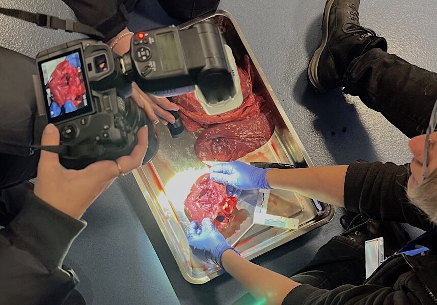 FTP-CSI-Course-post-mortem-photography FTP CSI Course Post Mortem Photography Training