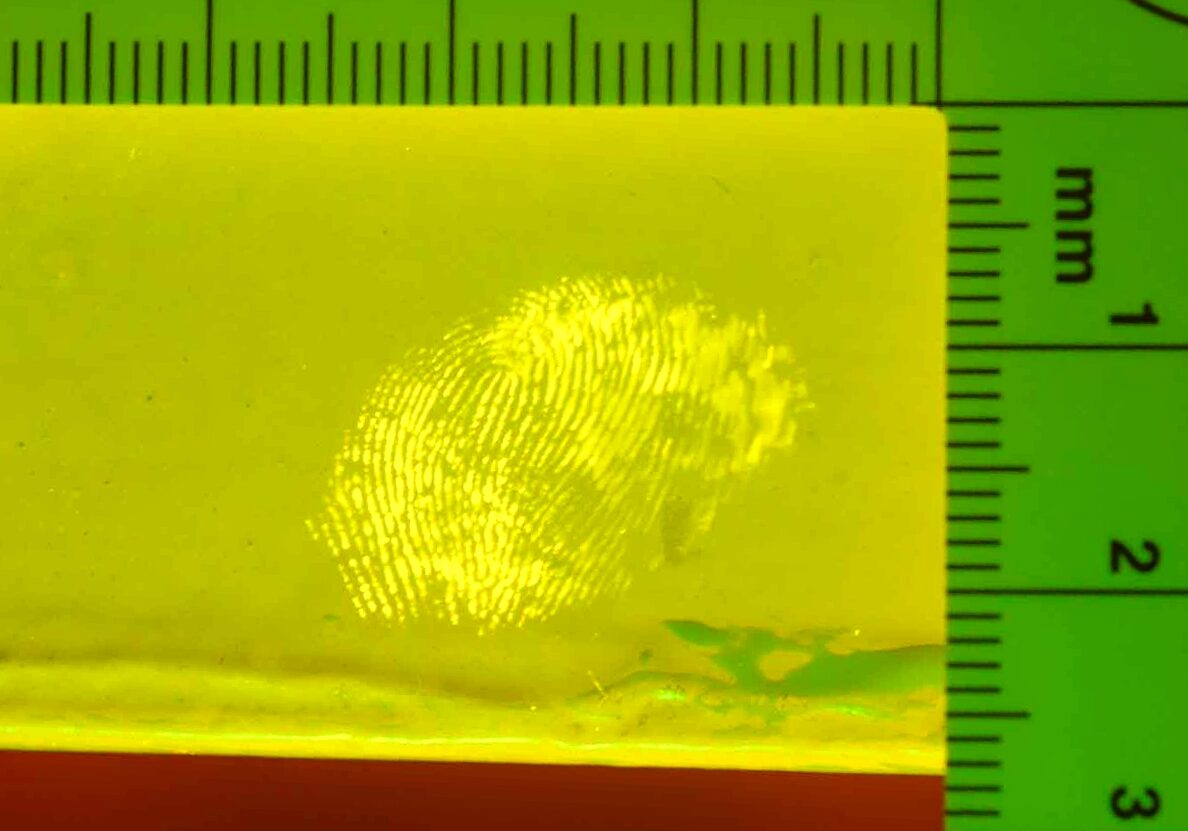 FTP-fingermark fluorescent on a wall-green-laser-82 Fingermark in contaminant fluorescent using a green laser © Martin Bloomfield FTP
