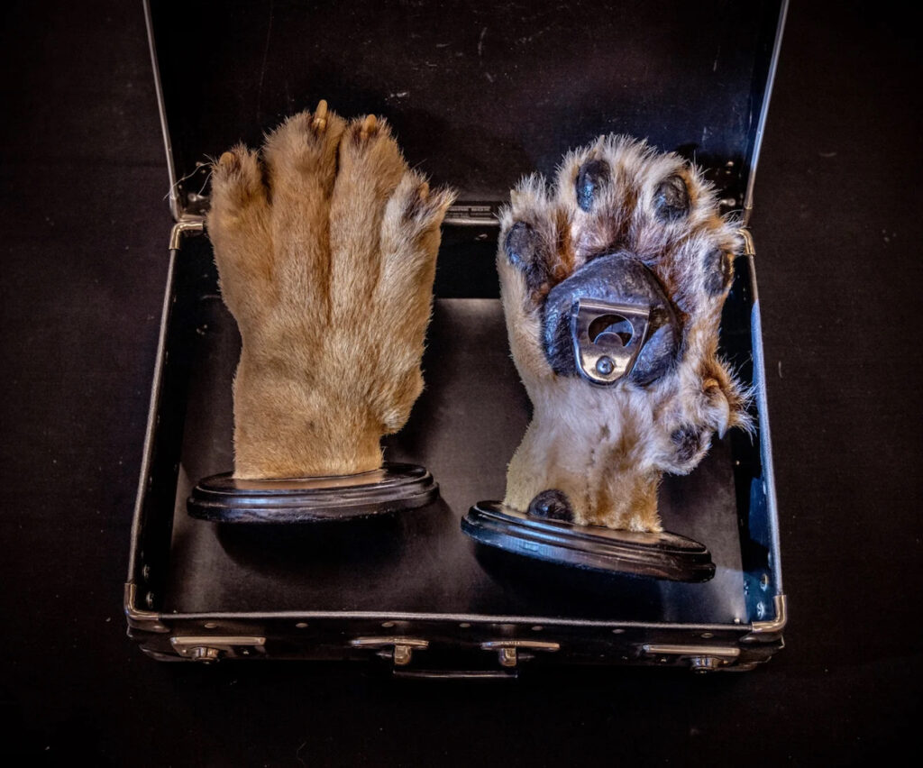 Earth Photo 2026 for Wildlife Crime Forensics 9 britta jaschinski real lion paws turned into bottle openers 114932
