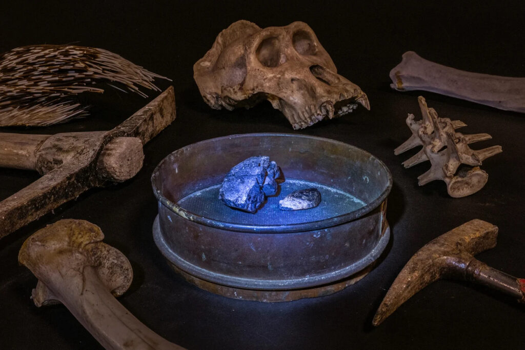 Earth Photo 2026 for Wildlife Crime Forensics 7 britta jaschinski the impact of coltan mining 114938